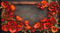 Poppy Flower Frame with Red and Orange Blooms Royalty Free Stock Photo