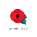 Poppy flower Illustration for Remembrance Day. Royalty Free Stock Photo