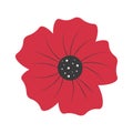 Poppy flower illustration Remembrance day symbol Royalty Free Stock Photo