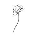 Poppy Flower Is One Line Art. Vector abstract contour drawing floral in a Trendy Minimalist Style. Royalty Free Stock Photo