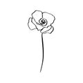 Poppy Flower Is One Line Art. Vector abstract Plant in a Trendy Minimalist Style. Royalty Free Stock Photo