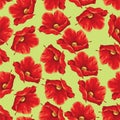 Poppy flower seamless pattern on green background Royalty Free Stock Photo