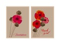 Poppy flower and seed box design element