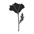 Poppy flower vector black icon. Vector illustration poppy red on white background. Isolated black illustration icon of red elower Royalty Free Stock Photo