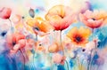 Landscape of poppy fields watercolor. Royalty Free Stock Photo