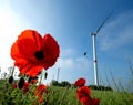 Poppy flowers in the field with wind energy turbines in the background and blue sky at windfarm Windpark Ravensteiner HÃÂ¶he, Royalty Free Stock Photo