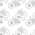 Poppy flowers floral seamless background isolated on the white