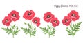 Poppy flowers. Flowering red poppies buds leaves-isolated on white background Royalty Free Stock Photo