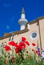 Poppy flowers and the mosque minaret Royalty Free Stock Photo