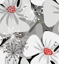 Poppy flowers pattern