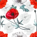Poppy flowers seamless,Floral pattern on white and silhouette background
