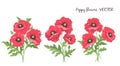 Poppy flowers. Vector isolated flowering red poppies buds leaves Royalty Free Stock Photo