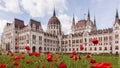 Poppy flowers with View of the Hungarian Parliament in Budapest