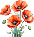 Poppy flowers, Watercolor painting of cute poppy flowers. AI-Generated. Royalty Free Stock Photo