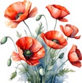 Poppy flowers, Watercolor painting of cute poppy flowers. AI-Generated. Royalty Free Stock Photo