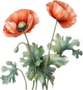 Poppy flowers, Watercolor painting of cute poppy flowers. AI-Generated. Royalty Free Stock Photo