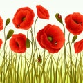 Poppy grass seamless wallpaper