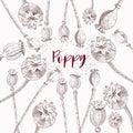 Poppy heads and lettering hand drawn vector illustration. Royalty Free Stock Photo