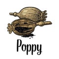 Poppy heads and seeds. Vector black vintage engraved Royalty Free Stock Photo