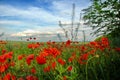 poppy hollow covered with red blooming poppies against a blue sky with white clouds in the distance Royalty Free Stock Photo