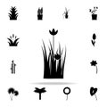 poppy icon. Plants icons universal set for web and mobile Royalty Free Stock Photo