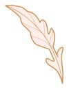 Poppy leaf silhouette. Plant leaves design element vector illustration Royalty Free Stock Photo