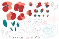 Poppy line-art abstract floral elements