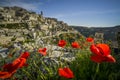 Poppy and matera italy