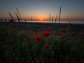 Poppy morning over Burgas