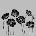 Poppy nature flower vector plant pattern drawing illustration de Royalty Free Stock Photo