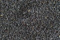 Poppy pattern seeds. Black poppyseed texture in top view. Pile food dark background. Vitamin snack breakfast, diet and Royalty Free Stock Photo