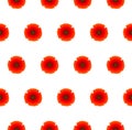 Poppy red flower seamless pattern, vector illustration, floral background for textile, printing, summer dress, Remembrance day as Royalty Free Stock Photo