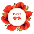 Poppy red flowers Round Circle badge. leaves and pods. Day of Remembrance. Vector illustration.