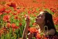 Poppy, Remembrance day, Anzac Day. Royalty Free Stock Photo