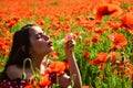 Poppy, Remembrance day, Anzac Day. Royalty Free Stock Photo