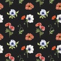 Poppy seamless pattern on a black background. Watercolor pattern with red wild poppy and anemone flowers. Hand drawn Royalty Free Stock Photo