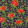 Poppy seamless pattern