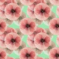 Poppy. Seamless pattern texture of pressed dry flowers. Royalty Free Stock Photo