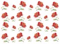 Poppy seamless pattern. Vector illustration