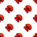 Poppy seamless pattern