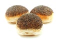 Poppy seed bread Royalty Free Stock Photo