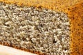 Poppy Seed Cake Royalty Free Stock Photo
