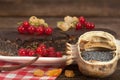 Poppy seed cake with raisins and currants Royalty Free Stock Photo