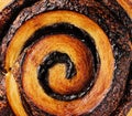 Poppy seed danish pastry roll top view Royalty Free Stock Photo