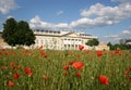 Poppy seed field in frint of the Fridericianum in Royalty Free Stock Photo