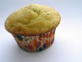 Poppy Seed Muffin Royalty Free Stock Photo