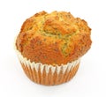Poppy seed muffin Royalty Free Stock Photo