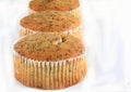 Poppy Seed Muffins Royalty Free Stock Photo