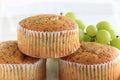 Poppy Seed Muffins Royalty Free Stock Photo