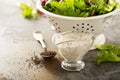 Poppy seed salad dressing Royalty Free Stock Photo